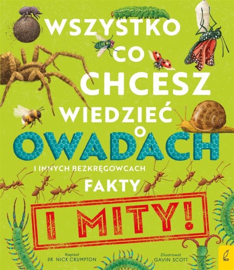 Wszystko, co chcesz wiedzieć o owadach i innych...