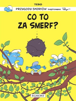 Smerfy. Co to za Smerf?