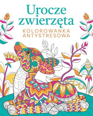 Urocze zwierzęta. Kolorowanka antystresowa