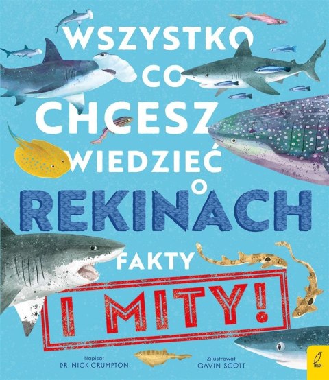 Wszystko, co chcesz wiedzieć o rekinach