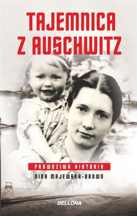 Teoretyczny wymiar bezpieczeństwa europejskiego