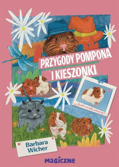 Przygody Pompona i Kieszonki