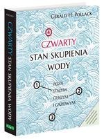 Czwarty stan skupienia wody. Poza stałym, ciekłym i gazowym