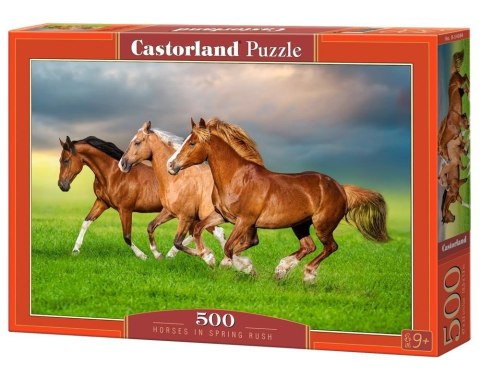 Puzzle 500 Horses in Spring Rush CASTOR