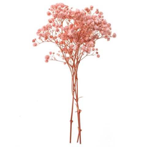 Gipsówka 4 gałązki ok. 20cm light pink Gipsówka 4 gałązki ok. 20cm light pink