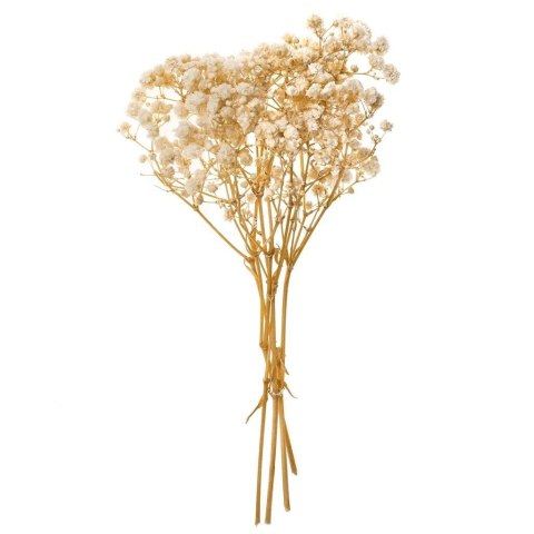 Gipsówka 4 gałązki ok. 20cm natural Gipsówka 4 gałązki ok. 20cm natural