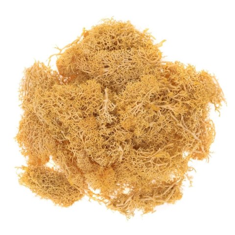 Mech ochrowy 30g Mech ochrowy 30g