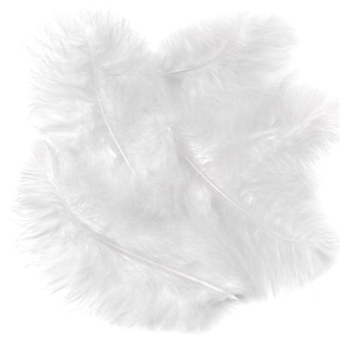 Pióra indycze białe 15cm 5szt Pióra indycze białe 15cm 5szt