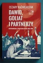 Dawid, Goliat i partnerzy. Wspomnienia z podziemia PRL 1982-89