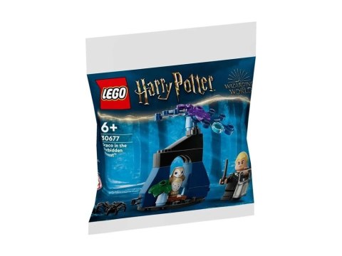 LEGO(R) HARRY POTTER 30677 Draco w Zakazanym Lesie