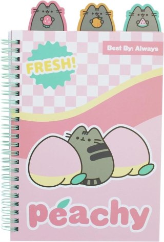 Notes ze znacznikami Pusheen