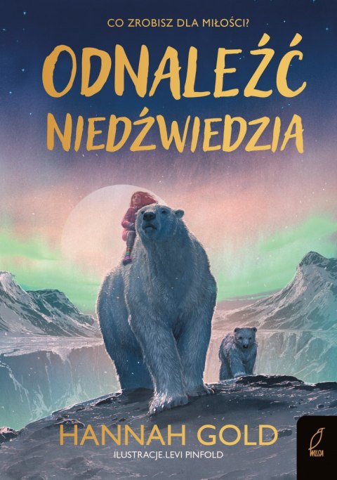 Odnaleźć niedźwiedzia Odnaleźć niedźwiedzia