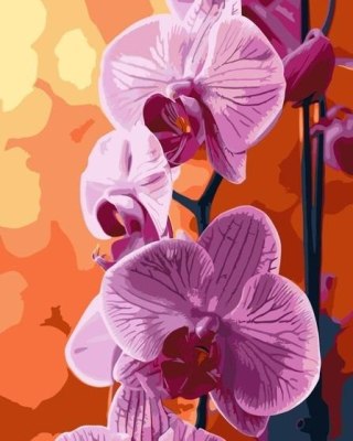 Malowanie po numerach - Orchidea 40x50cm