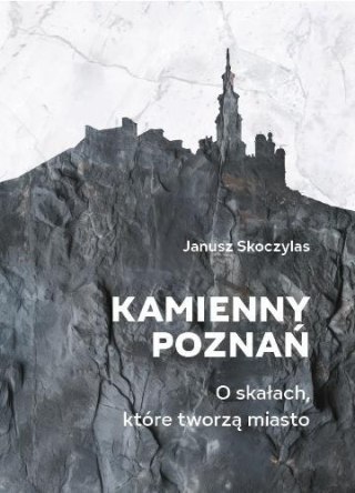 Kamienny Poznań. O skałach, które tworzą miasto