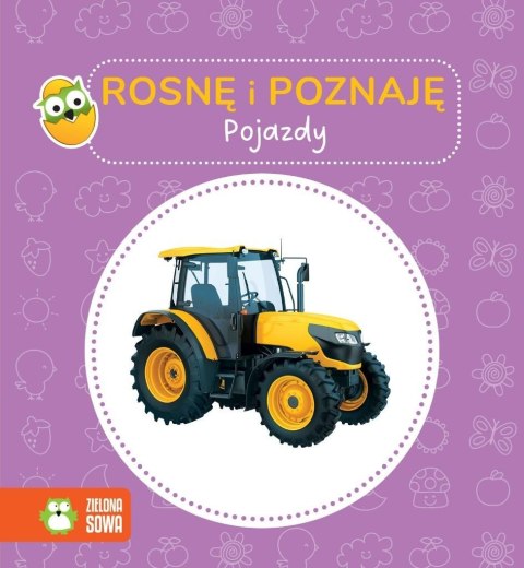 Rosnę i poznaję. Pojazdy Rosnę i poznaję. Pojazdy