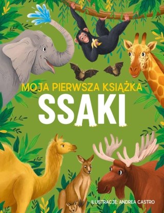 Moja pierwsza książka. Ssaki