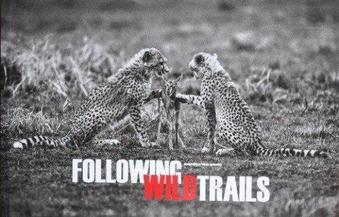 Following Wild Trails Tomasz Gudzowaty