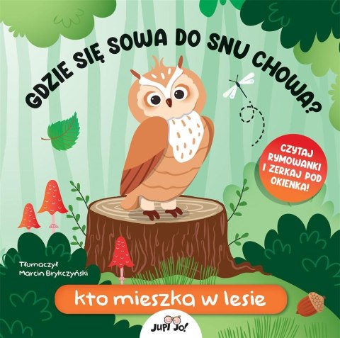 Gdzie się sowa do snu chowa? Kto mieszka w lesie