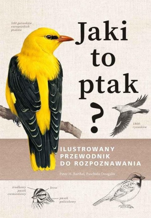 Jaki to ptak? Ilustrowany przewodnik...