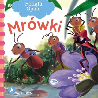 Mrówki