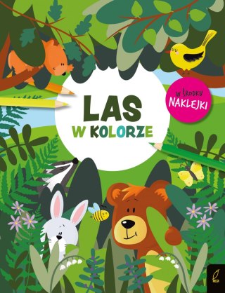 Las w kolorze