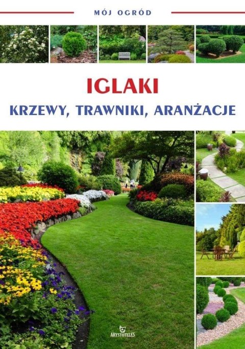 Mój ogród. Iglaki, krzewy, trawy