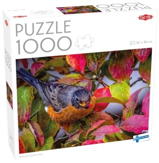 Puzzle 1000 Robin w jesiennych liściach