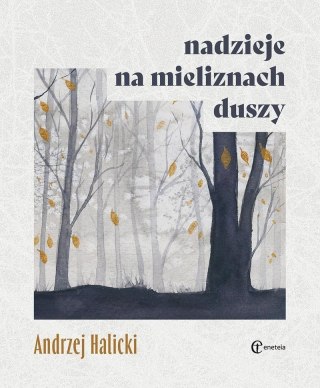 Nadzieje na mieliznach duszy