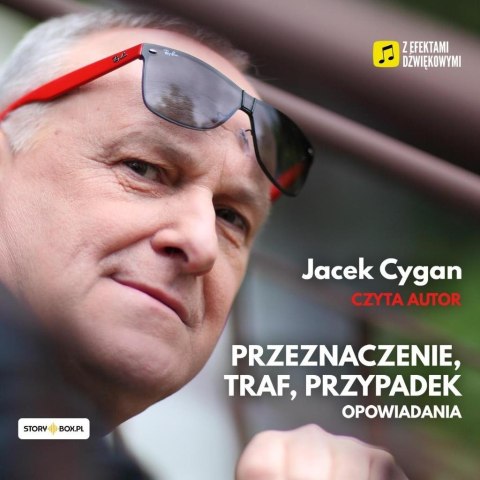 Przeznaczenie, traf, przypadek audiobook