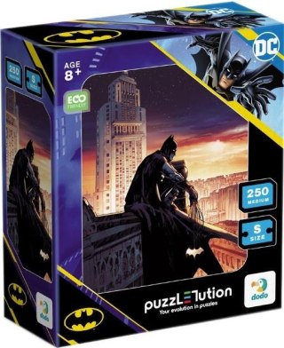 Puzzle Medium-S 250 Batman