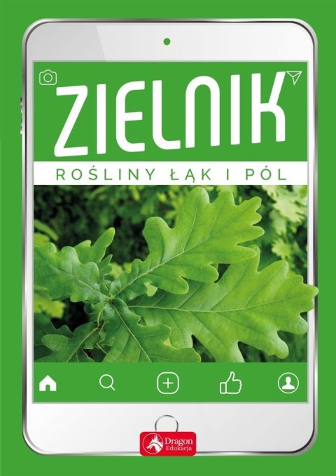 Zielnik. Rośliny łak i pól