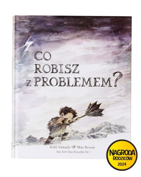 Co robisz z problemem?