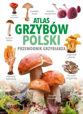 Atlas grzybów Polski