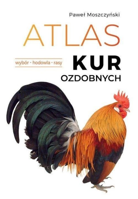 Atlas kur ozdobnych