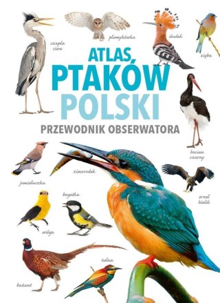 Atlas ptaków Polski