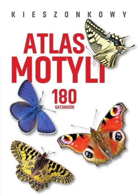 Kieszonkowy atlas motyli