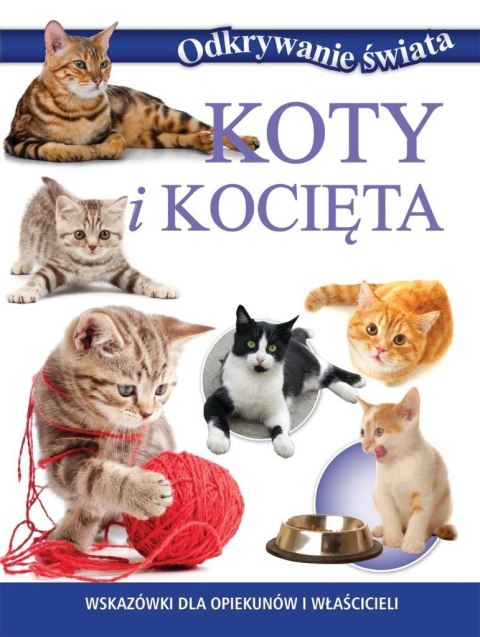Odkrywanie świata. Koty i kocięta Odkrywanie świata. Koty i kocięta