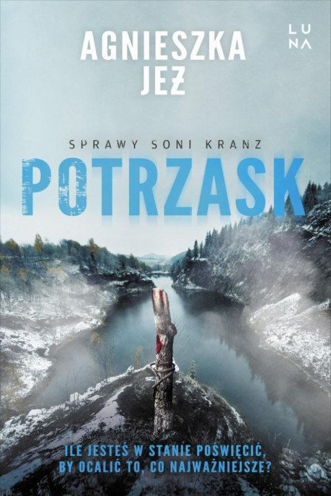 Sprawy Soni Kranz T.4 Potrzask AGNIESZKA JEŻ