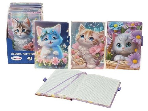 Notes w kratkę kotki MIX