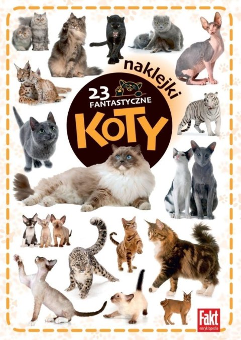 23 fantastyczne koty 23 fantastyczne koty