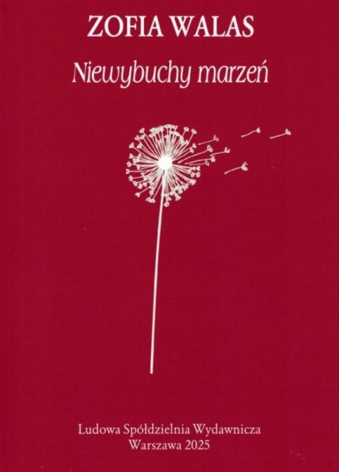 Niewybuchy marzeń Niewybuchy marzeń