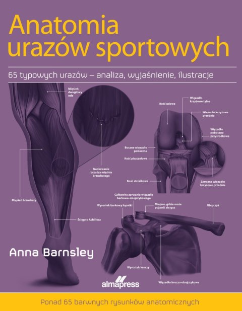 Anatomia urazów sportowych Anatomia urazów sportowych