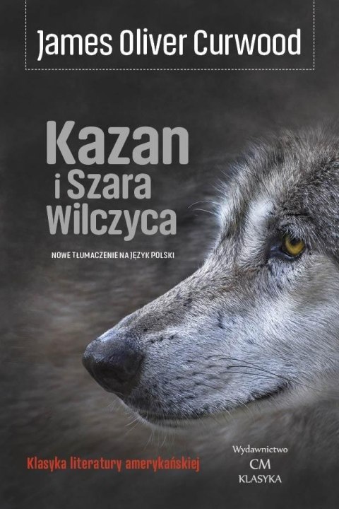 Kazan i Szara Wilczyca Kazan i Szara Wilczyca