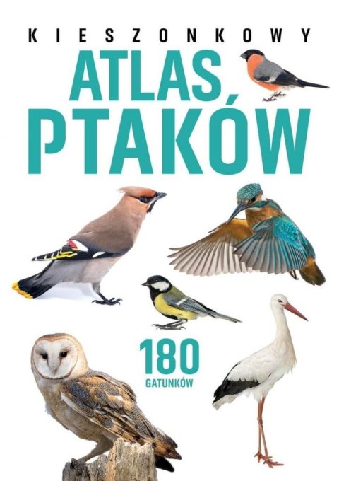 Kieszonkowy atlas ptaków. 180 gatunków Kieszonkowy atlas ptaków. 180 gatunków