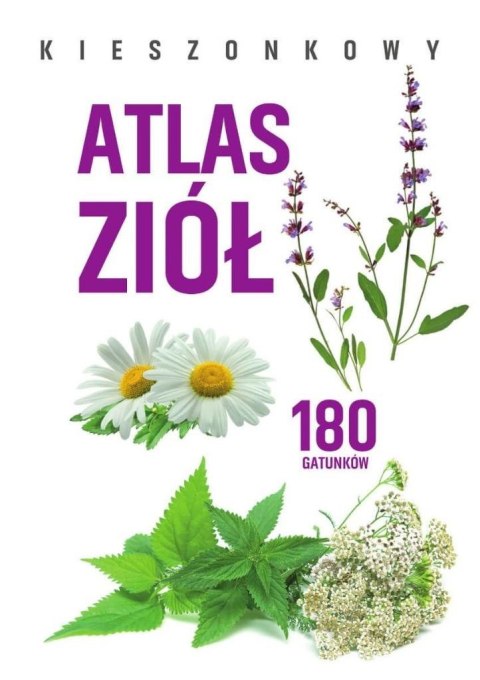 Kieszonkowy atlas ziół. 180 gatunków Kieszonkowy atlas ziół. 180 gatunków