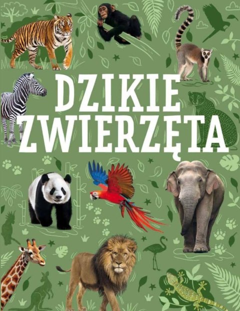 Dzikie zwierzęta Dzikie zwierzęta