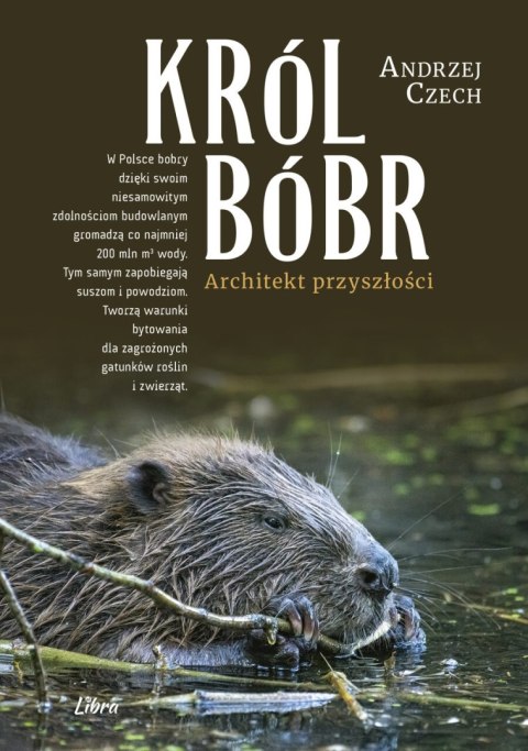 Król bóbr. Architekt przyszłości Król bóbr. Architekt przyszłości