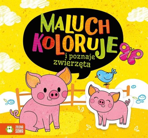 Maluch koloruje i poznaje zwierzęta Maluch koloruje i poznaje zwierzęta