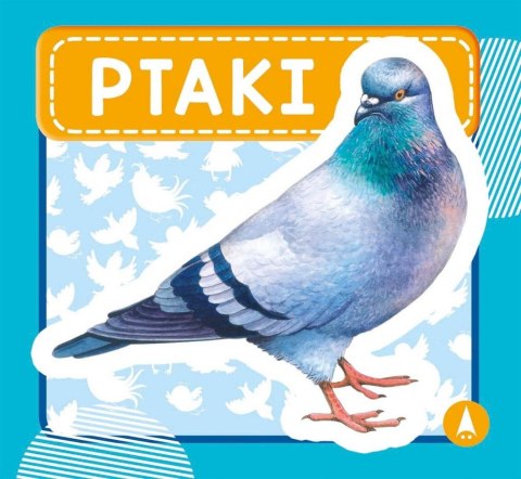 Ptaki Ptaki