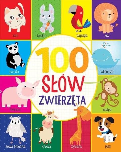 100 słów. Zwierzęta 100 słów. Zwierzęta
